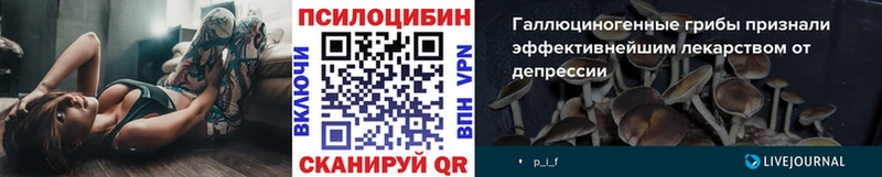Псилоцибиновые грибы мицелий Миньяр