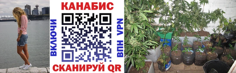 Бошки марихуана семена  Миньяр 
